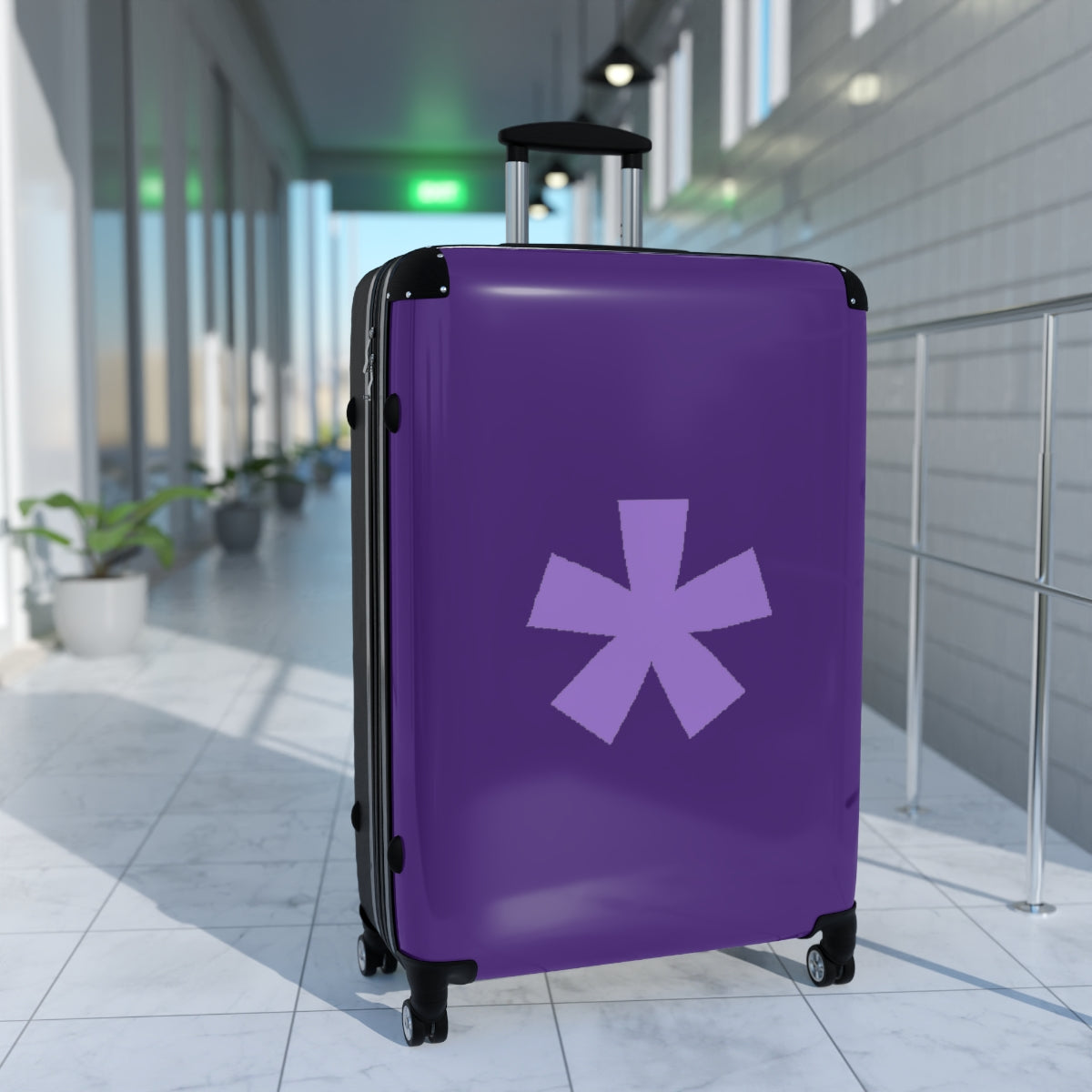FitFarty Suitcases