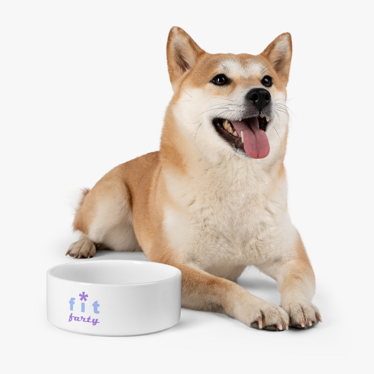 FitFarty Pet Bowl